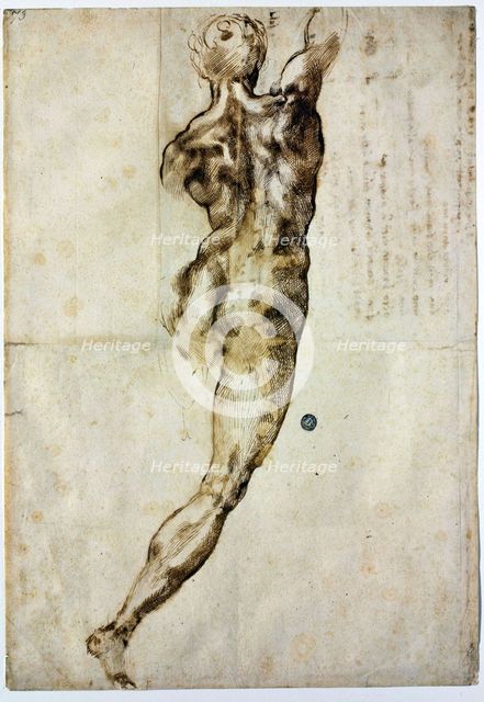 Nude from behind, c. 1504. Artist: Buonarroti, Michelangelo (1475-1564)