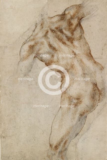 Nude male Torso (possibly a study for the Battle of Cascina), 1501-1505.  Creator: Michelangelo Buonarroti.