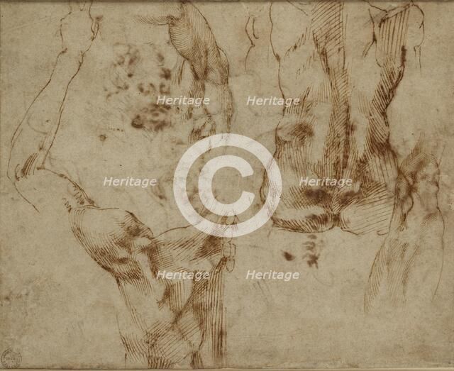 Nude Studies, c1490-1560. Artist: Michelangelo Buonarroti.