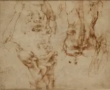 Nude Studies, c1490-1560. Artist: Michelangelo Buonarroti