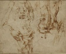 Nude Studies, c1490-1560. Artist: Michelangelo Buonarroti