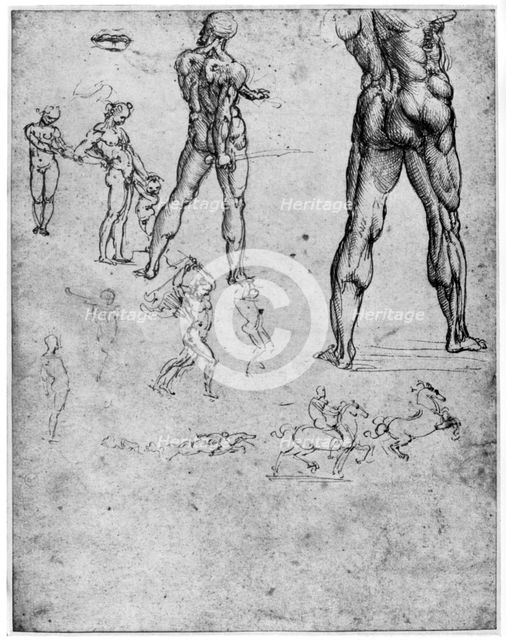 Nude studies for 'The Battle of Anghiari', c1503-1505 (1954). Artist: Leonardo da Vinci