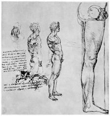 Nude studies for The Battle of Anghiari c1503-1505 (1954). Artist: Leonardo da Vinci