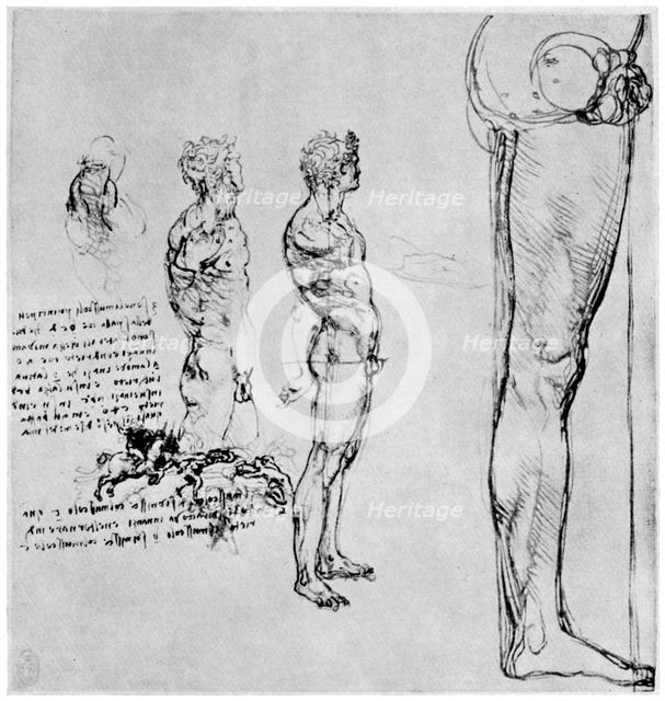 Nude studies for 'The Battle of Anghiari', c1503-1505 (1954). Artist: Leonardo da Vinci