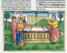 Numbers 17:1-11: Aaron's staff blooms on the altar