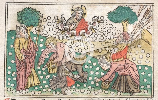 Nüremberg Bible: Manna Falling from Heaven, 1400s. Creator: Unknown.