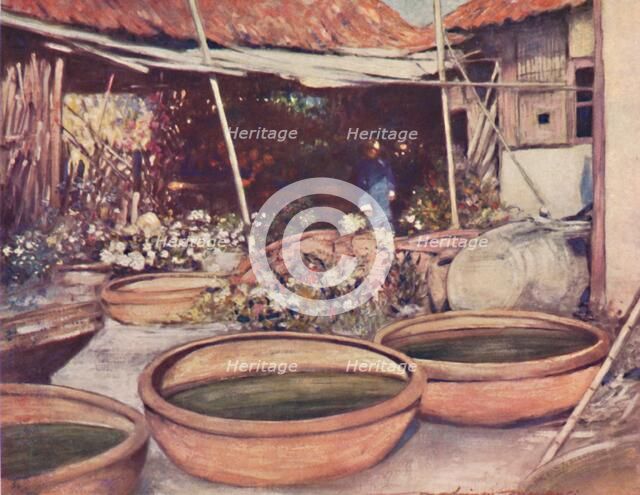 'Nursery Garden', 1903. Artist: Mortimer L Menpes.