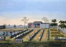 Nursery garden, China, c1820-1840