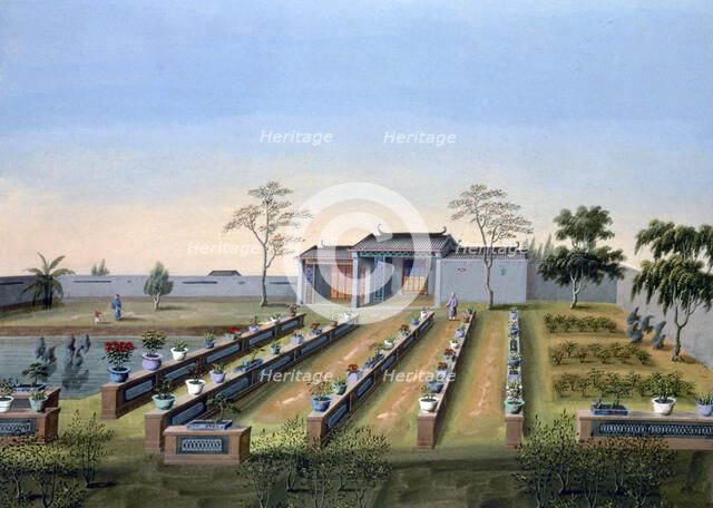 Nursery garden, China, c1820-1840. Artist: Unknown