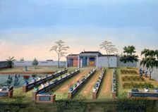 Nursery garden, China, c1820-1840. Creator: Unknown