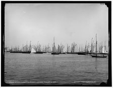 N.Y.Y.C. fleet, Newport harbor, 1887 Aug 5. Creator: Unknown