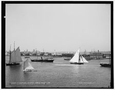 N.Y.Y.C. fleet, Newport harbor, 1888 Aug 11. Creator: Unknown
