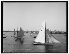 N.Y.Y.C. fleet, Newport harbor, 1888 Aug 11. Creator: Unknown