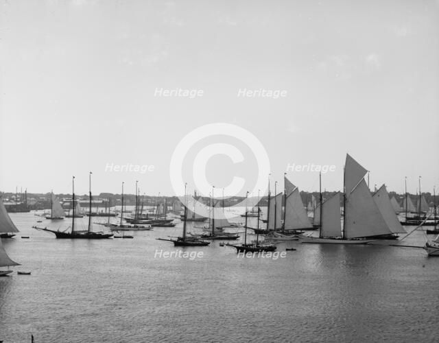 N.Y.Y.C. Fleet, Newport Harbor, August 11, 1888, 1888 Aug 11. Creator: Unknown.