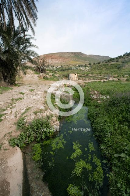 Nymphaea at Bulla Regia, Tunisia. Creator: Samuel Magal.