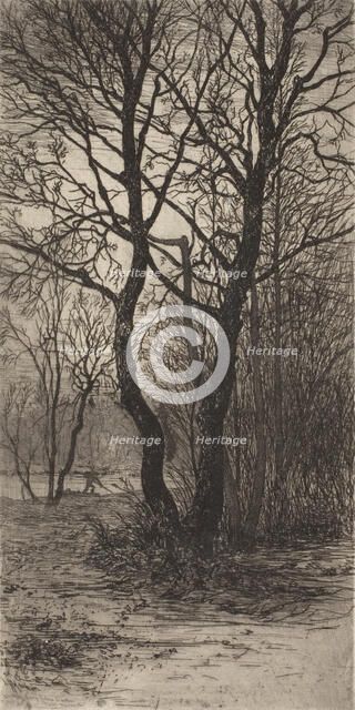 Nymphenburg Palace Garden, near Munich, 1884. Creator: Lewis Henry Meakin.