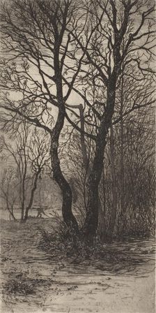 Nymphenburg Palace Garden, near Munich, 1884. Creator: Lewis Henry Meakin