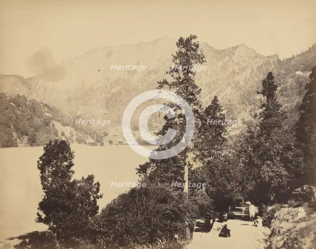 Nynee Tall from South End, c. 1858-1862. Creator: John Murray.