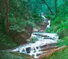 O'Sullivan's Cascade, Killarney c1910