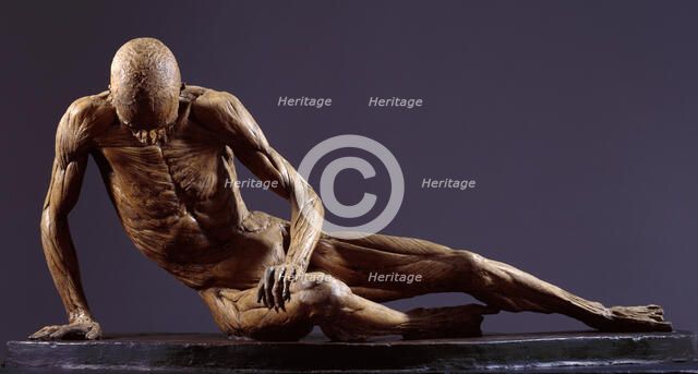 Smugglerius, c1834 (original 1776). Creator: William Pink.