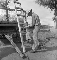 Small cotton farmer, Kern County, California, 1938. Creator: Dorothea Lange