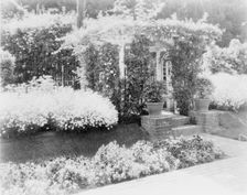 Small arbor covered with roses, with daisies and pansies on... Pasadena, California, c1903 - 1923. Creator: Frances Benjamin Johnston