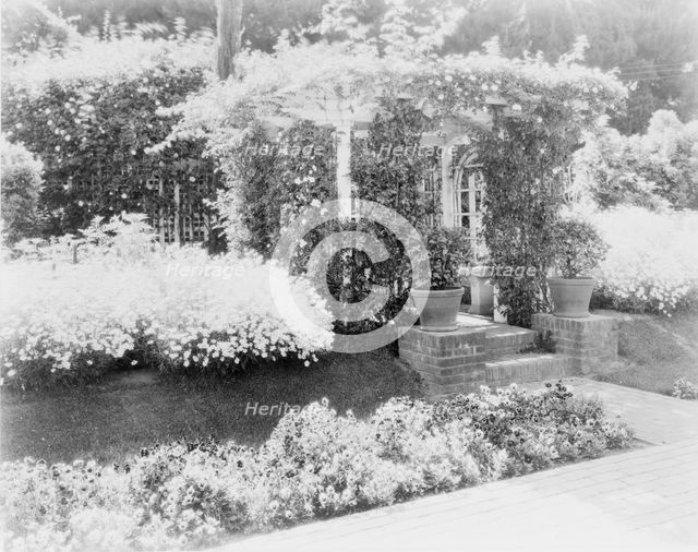 Small arbor covered with roses, with daisies and pansies on... Pasadena, California, c1903 - 1923. Creator: Frances Benjamin Johnston.