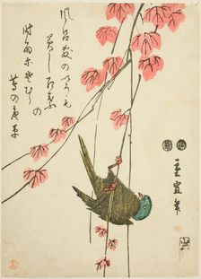 Small bird and ivy, c. 1843/47. Creator: Utagawa Hiroshige II