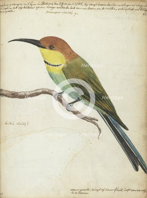 Small bird on branch, 1785. Creator: Jan Brandes.