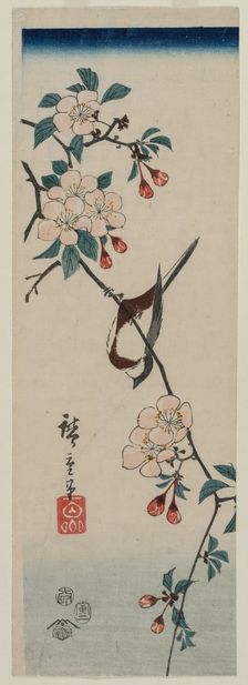 Small Bird (Swallow ?) on Cherry Branch, 1854. Creator: Ando Hiroshige (Japanese, 1797-1858)