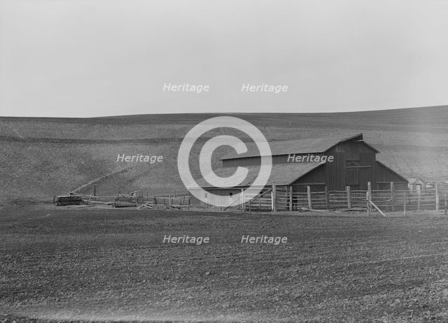 Small dairy farm near Santa Maria, California, 1939. Creator: Dorothea Lange.