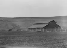 Small dairy farm near Santa Maria, California, 1939. Creator: Dorothea Lange
