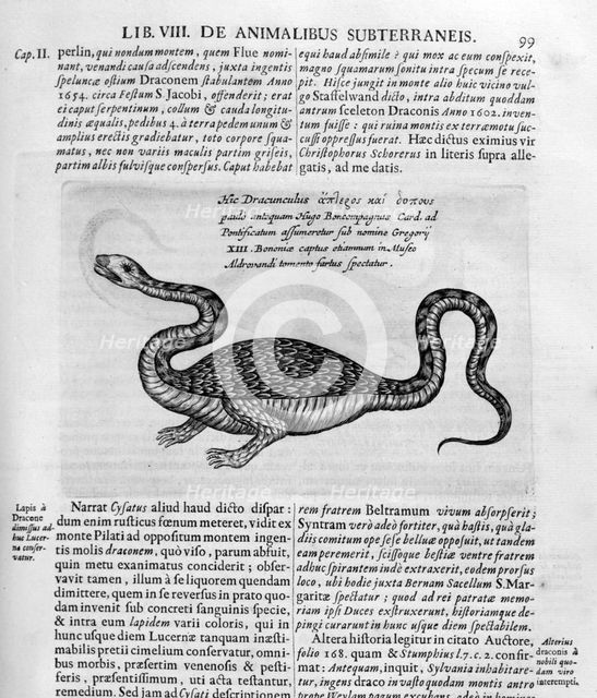 Small dragon, 1678. Artist: Athanasius Kircher