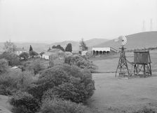 Small farm in the coast range foothills, Alameda County, California, 1939. Creator: Dorothea Lange
