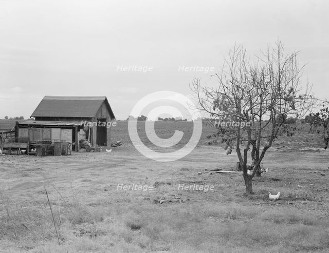 Small farm, Kern County, California, 1938. Creator: Dorothea Lange.