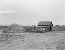 Small farm, Kern County, California, 1938. Creator: Dorothea Lange