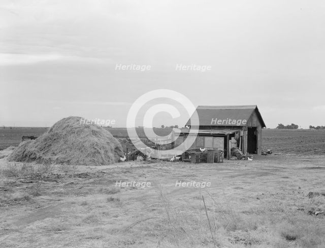 Small farm, Kern County, California, 1938. Creator: Dorothea Lange.