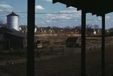 Small farm of John P. Collins, Taunton, Mass., 1941. Creator: Jack Delano