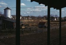 Small farm of John P. Collins, Taunton, Mass., 1941. Creator: Jack Delano