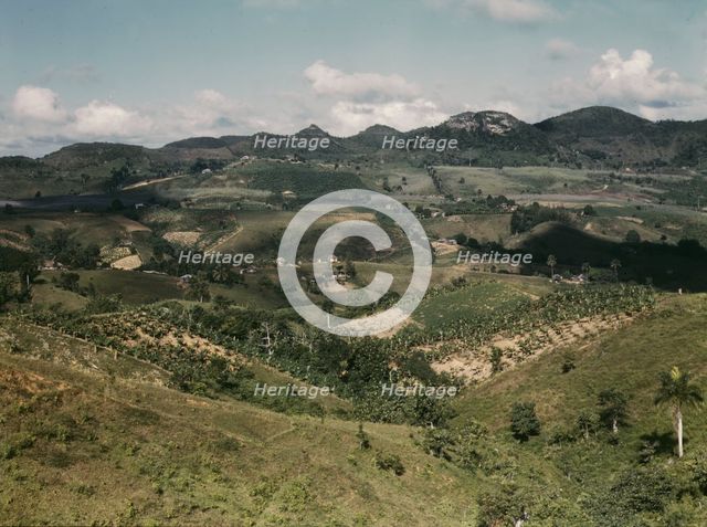 Small farms in the hills, vicinity of Corozal, Puerto Rico, 1941. Creator: Jack Delano.