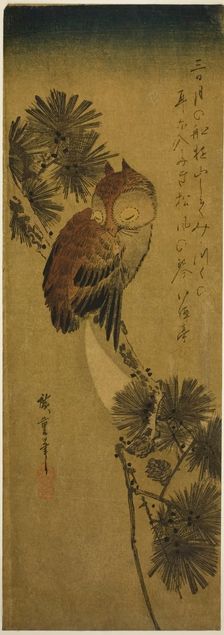 Small-horned owl, pine, and crescent moon, 1830s. Creator: Ando Hiroshige