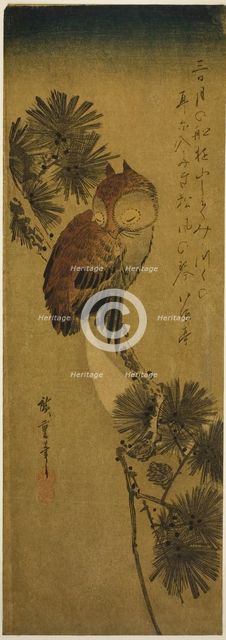 Small-horned owl, pine, and crescent moon, 1830s. Creator: Ando Hiroshige.