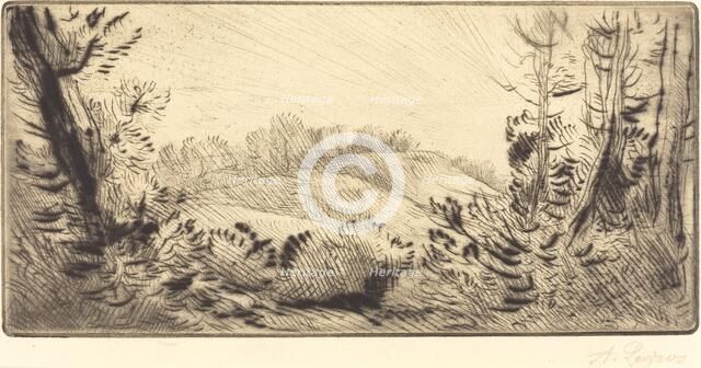 Small Hill (Le coteau). Creator: Alphonse Legros.