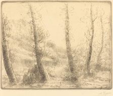 Small Lake (Le petit lac). Creator: Alphonse Legros