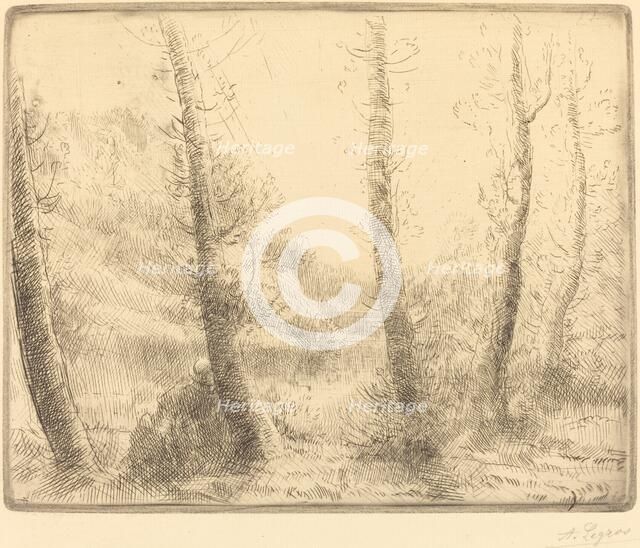 Small Lake (Le petit lac). Creator: Alphonse Legros.