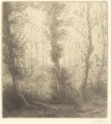 Small Lake (Le petit lac). Creator: Alphonse Legros
