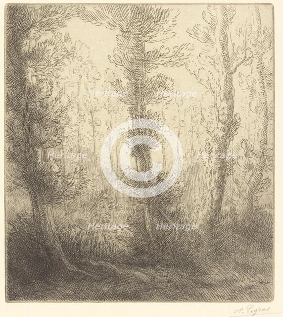 Small Lake (Le petit lac). Creator: Alphonse Legros.