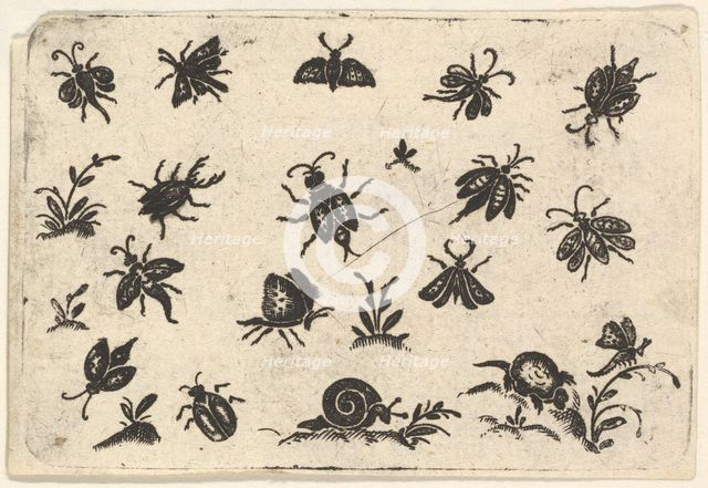 Small Motifs of Insects and Plants, 1596. Creator: Georg Herman.