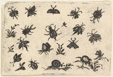 Small Motifs of Insects and Plants, 1596. Creator: Georg Herman