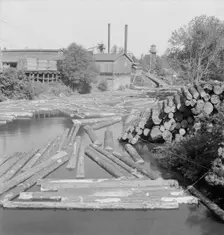 Small sawmill on the Marys River near Corvallis, Oregon, 1939. Creator: Dorothea Lange
